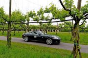 Le Jaguar nella zona del Prosecco e Cartize (88/152)